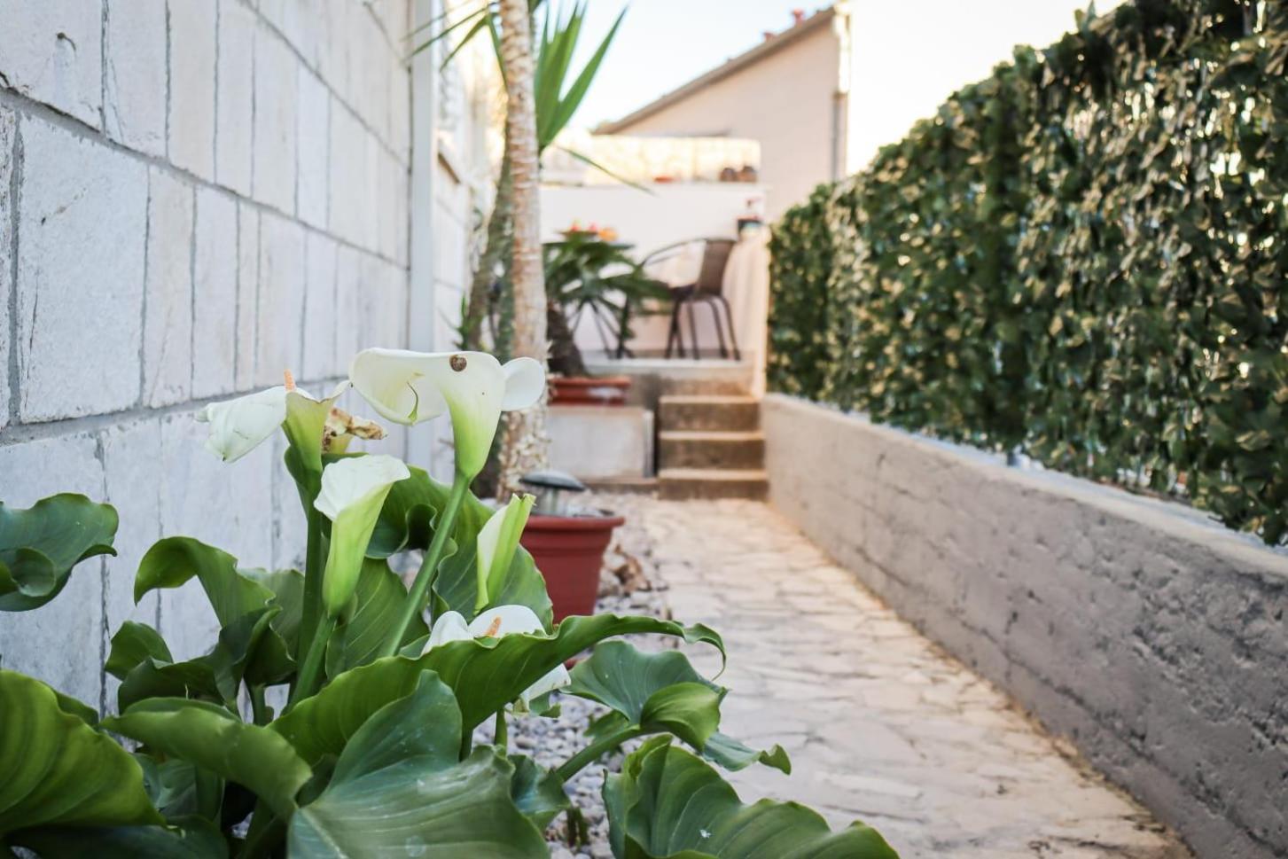 Luxury Marko Apartamento *